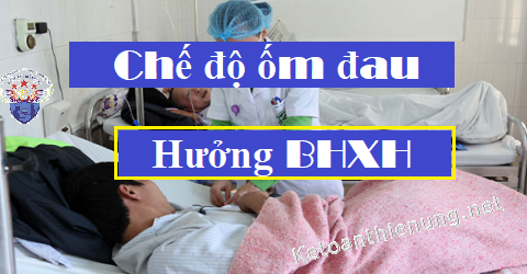 Chế độ ốm đau của BHXH Chế độ ốm đau của BHXH