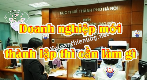 công ty mới thành lập cần làm những gì