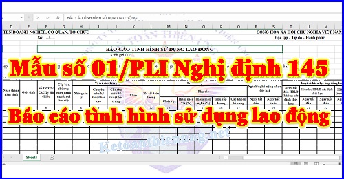Mẫu số 01/pli báo cáo tình hình sử dụng lao động Mẫu số 01/pli báo cáo tình hình sử dụng lao động