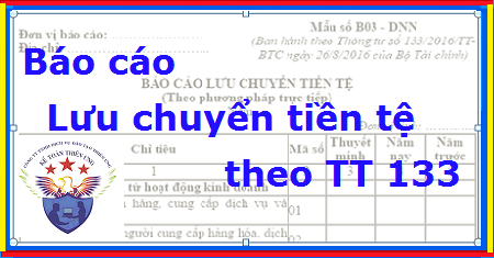 báo cáo lưu chuyển tiền tệ theo thông tư 133