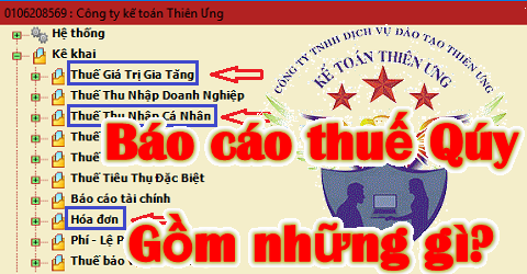 Báo cáo thuế theo quý gồm những gì Báo cáo thuế theo quý gồm những gì