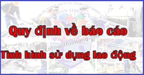 báo cáo tình hình sử dụng lao động