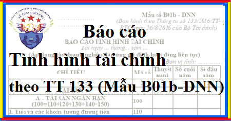 báo cáo tình hình tài chính mẫu B01b-DNN