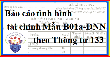 báo cáo tình hình tài chính theo thông tư 133