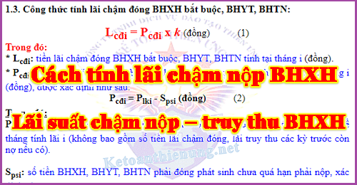 Cách tính lãi chậm nộp bhxh truy thu bhxh Cách tính lãi chậm nộp bhxh truy thu bhxh
