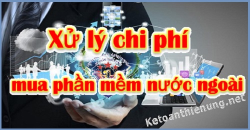 chi phí mua phần mềm nước ngoài qua mạng