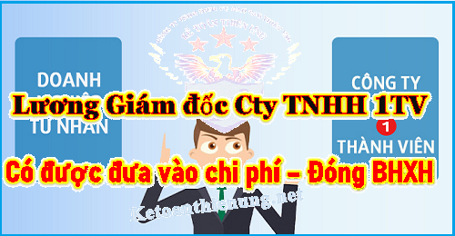 Lương giám đốc công ty TNHH 1 thành viên