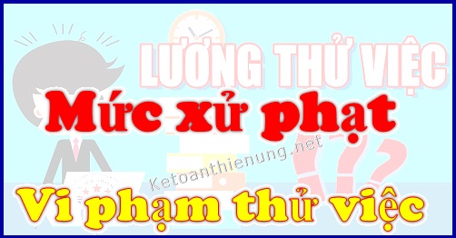 Mức xử phạt vi phạm thử việc