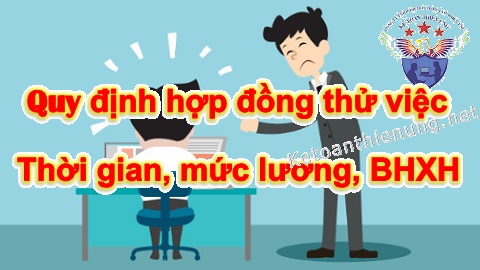 quy định về hợp đồng thử việc