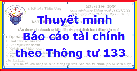 thuyết minh báo cáo tài chính theo thông tư 133